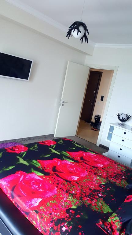 Solid House Residence مامايا المظهر الخارجي الصورة